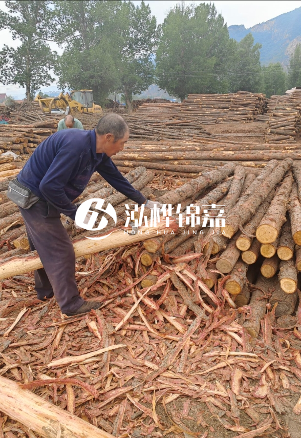 東營(yíng)河道清淤專業(yè)施工隊(duì)-不同型號(hào)挖機(jī)清淤能力對(duì)比？