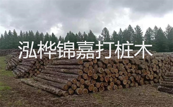 選擇紅磚護(hù)坡，打造獨(dú)特的美麗景觀