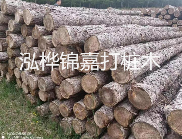 高效修補(bǔ)，保駕護(hù)航！水泥路面高強(qiáng)度修補(bǔ)料為您解決煩惱！